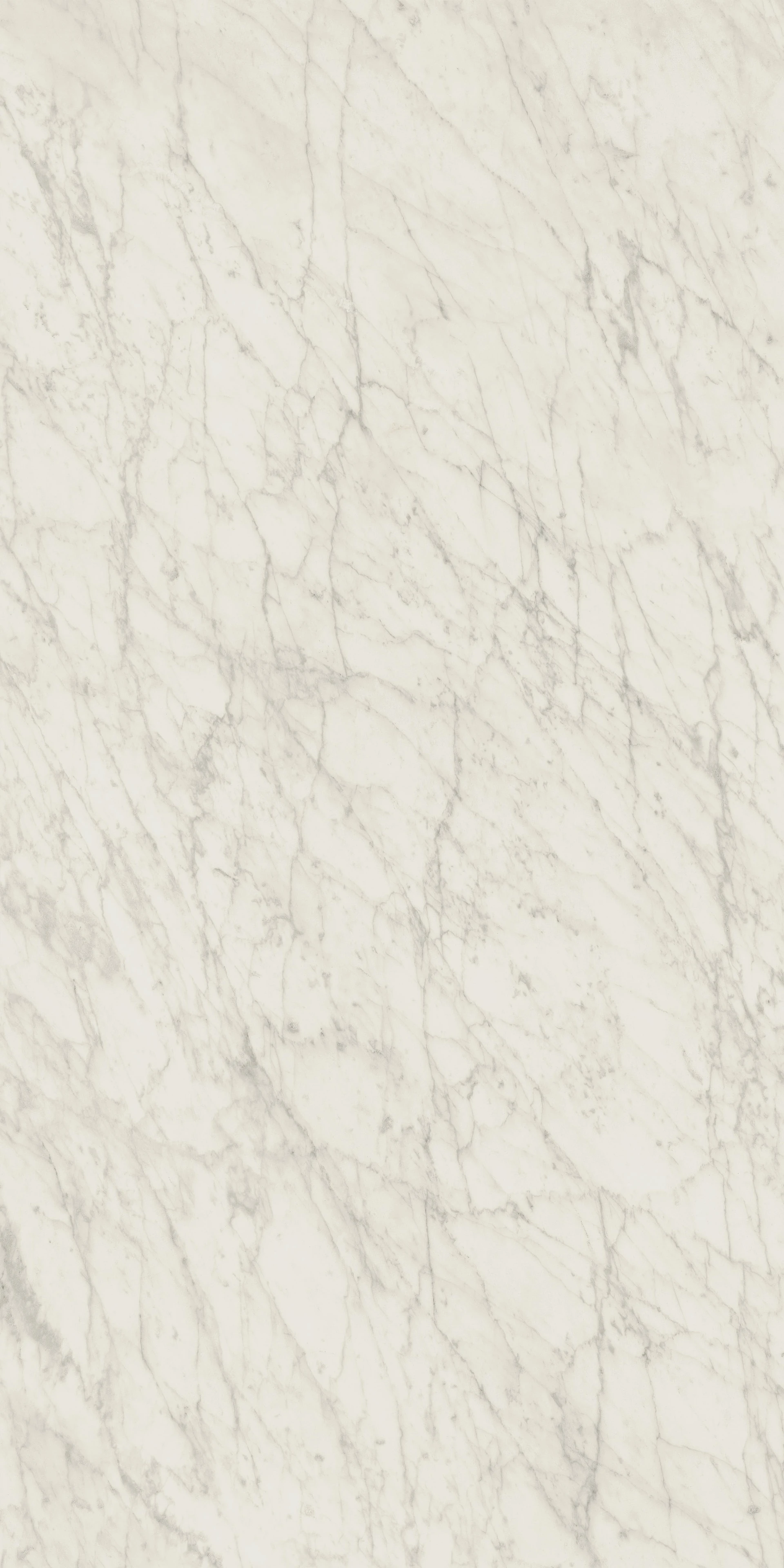 Portobello-Carrara-Icon