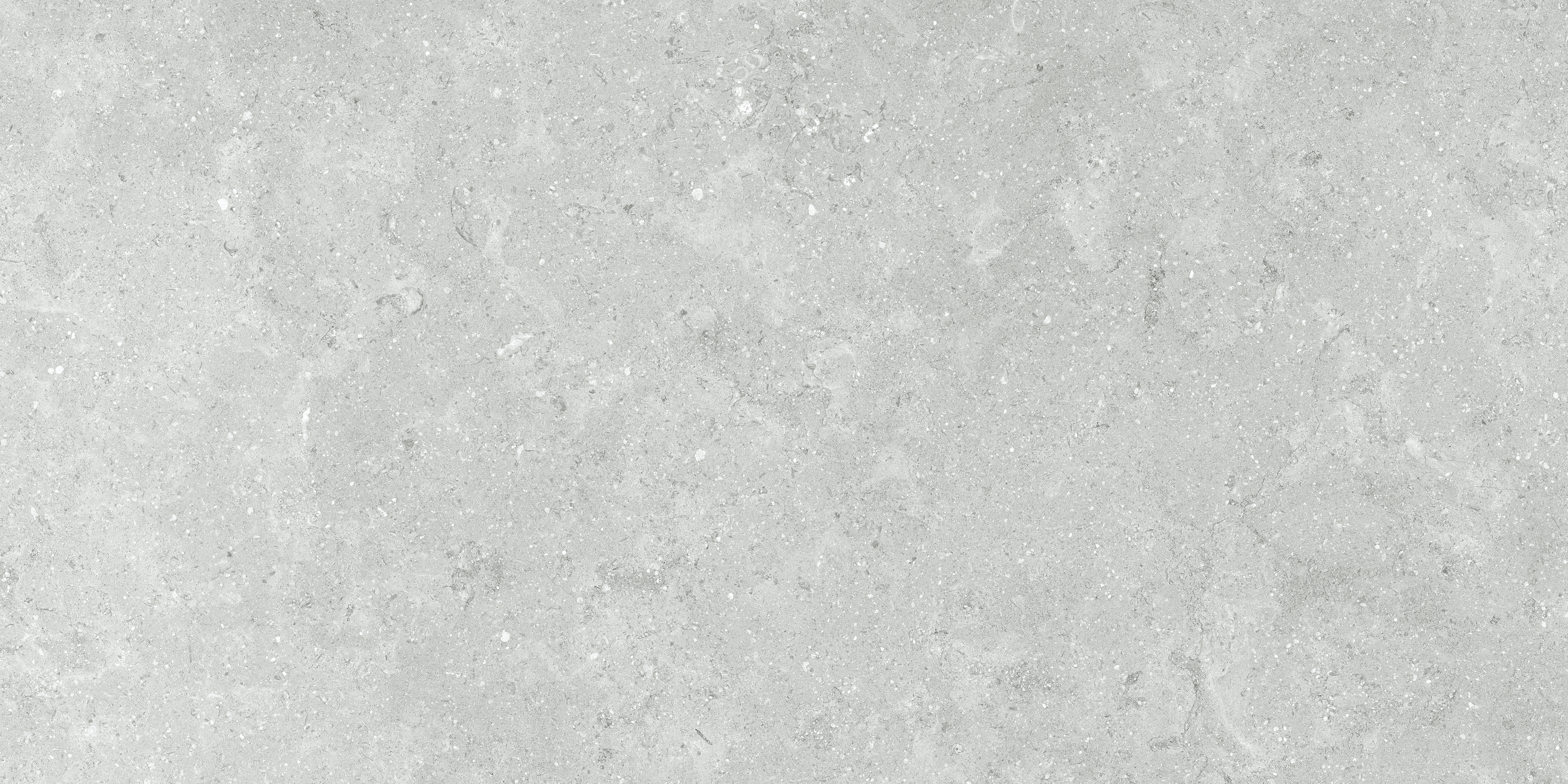 Anatolia_Coliseo_Platinum_Matte_Porcelain_Tile_12x24
