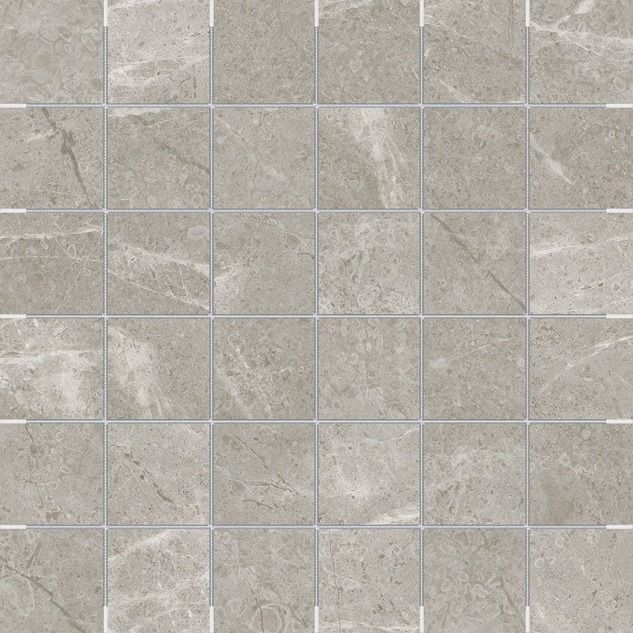 STP-Delicate-Vanizio-2x2-Mosaic-Matte.jpg