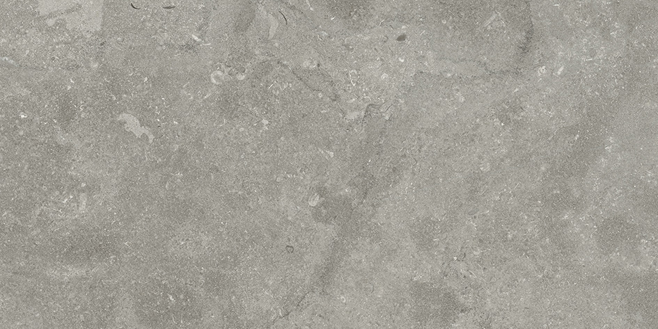 Milestone_EcoStone_Fossil_Cross-Cut_12x24_Matte_Rectified Milestone_EcoStone_Fossil_Cross-Cut_12x24_Matte_Rectified