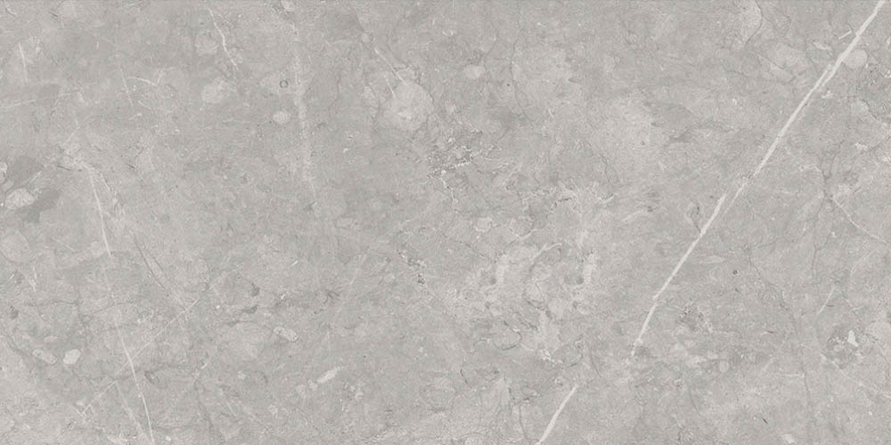 Caesar-Graystone-Silver-12x24-Swatc Caesar-Graystone-Silver-12x24-Swatc