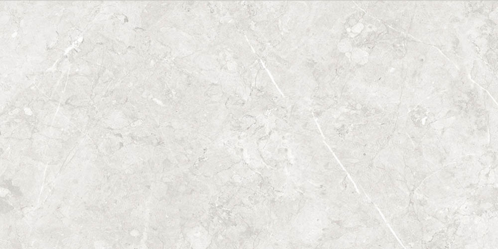 Caesar-Graystone-White-12x24-Swatch Caesar-Graystone-White-12x24-Swatch