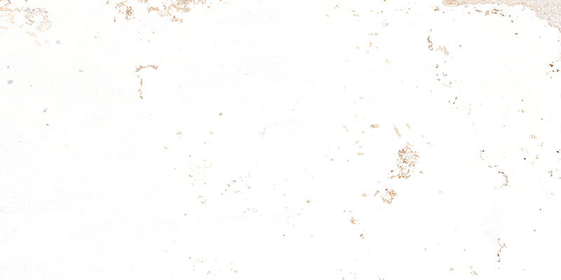 Edimax-Home-Whitepastel-8x16-Matte-Rectifed Edimax-Home-Whitepastel-8x16-Matte-Rectifed