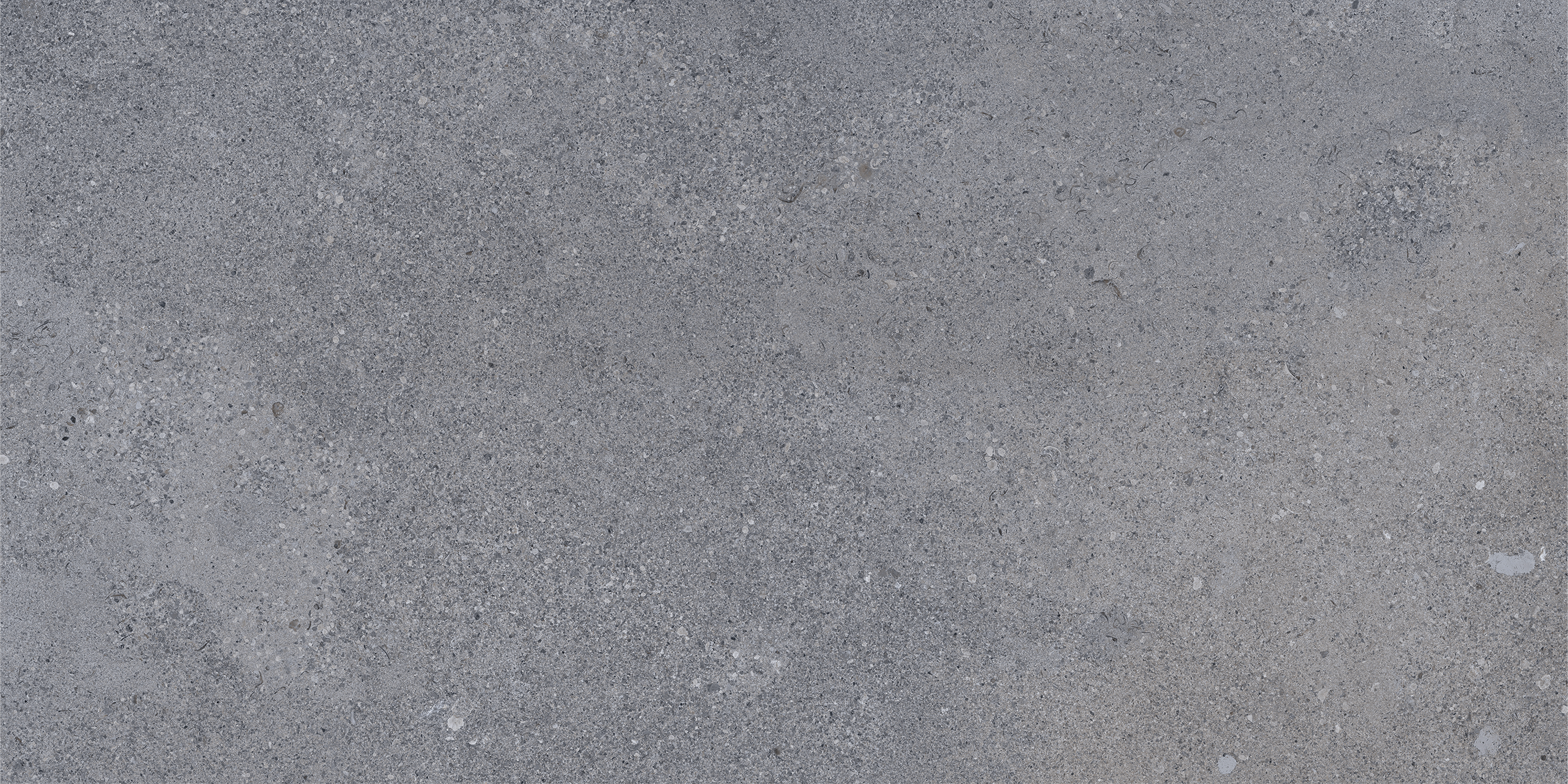 StonePeak_Ikonite_Grey_24x48_Honed_Rectified.jpg