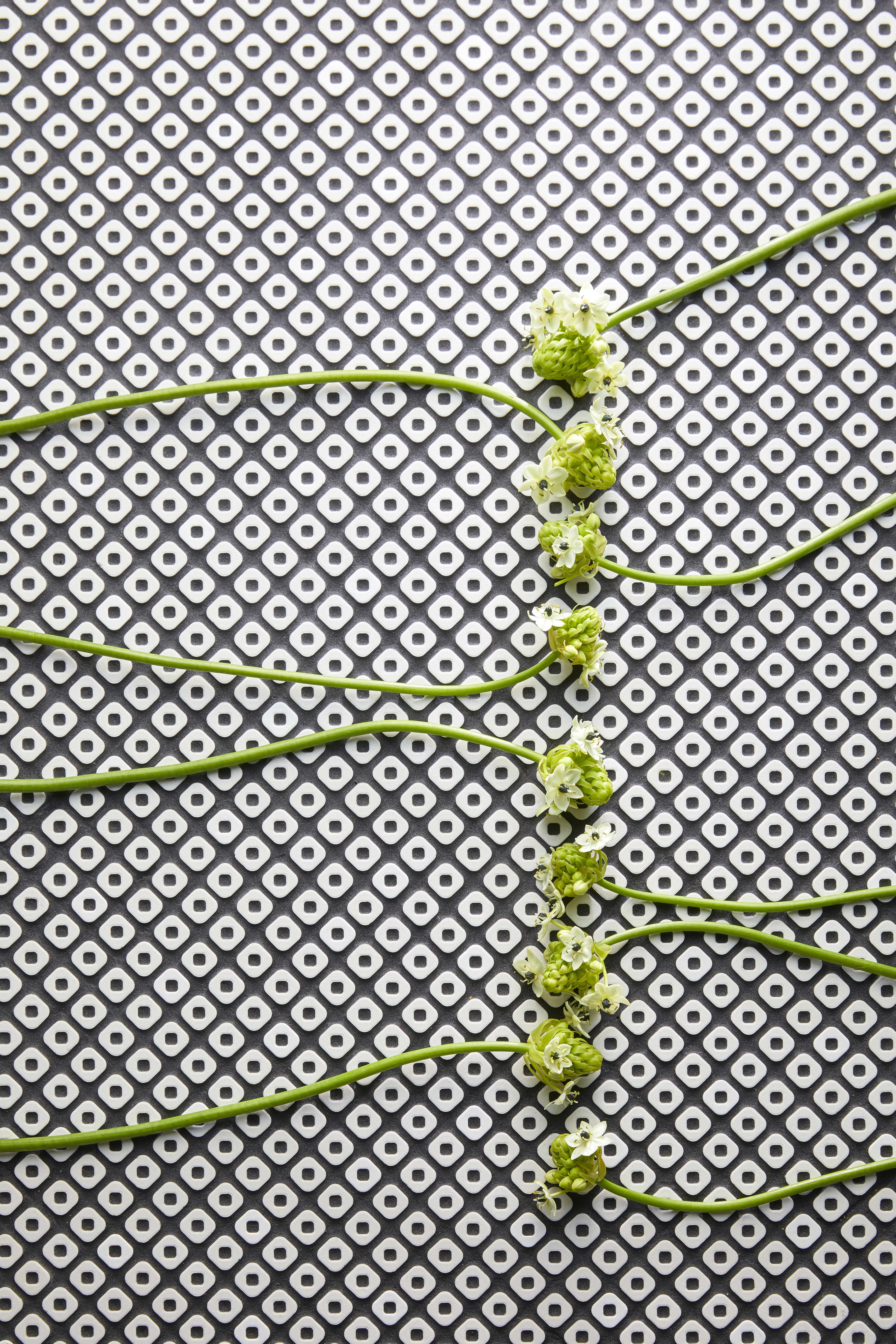 Inax_Kanoko_White_Roomscene Inax_Kanoko_White_Roomscene