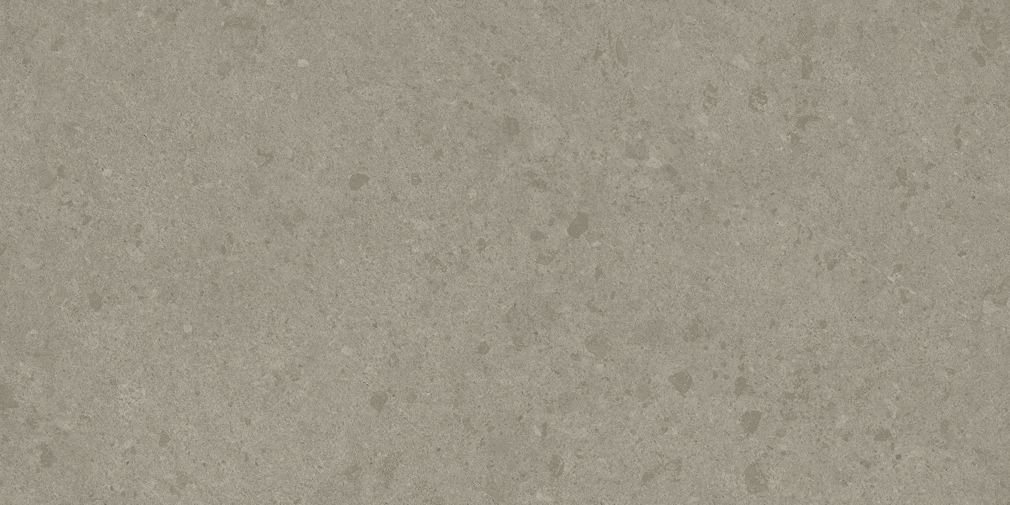 AtlasConcordeUSA_LegacyLimestone_Harbor_12x24_Matte_Rectified AtlasConcordeUSA_LegacyLimestone_Harbor_12x24_Matte_Rectified