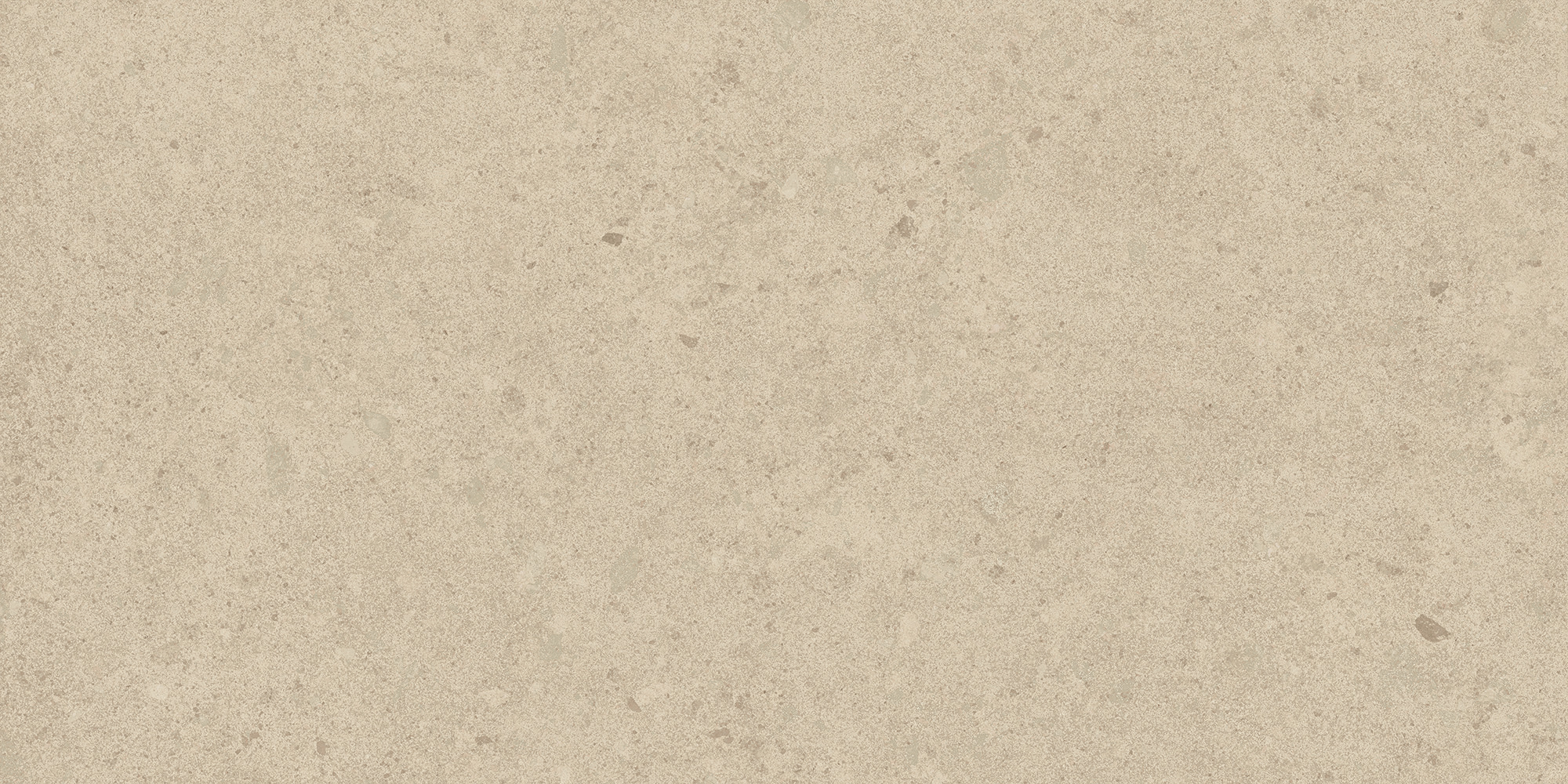 AtlasConcordeUSA_LegacyLimestone_Ivory_12x24_Matte_Rectified AtlasConcordeUSA_LegacyLimestone_Ivory_12x24_Matte_Rectified
