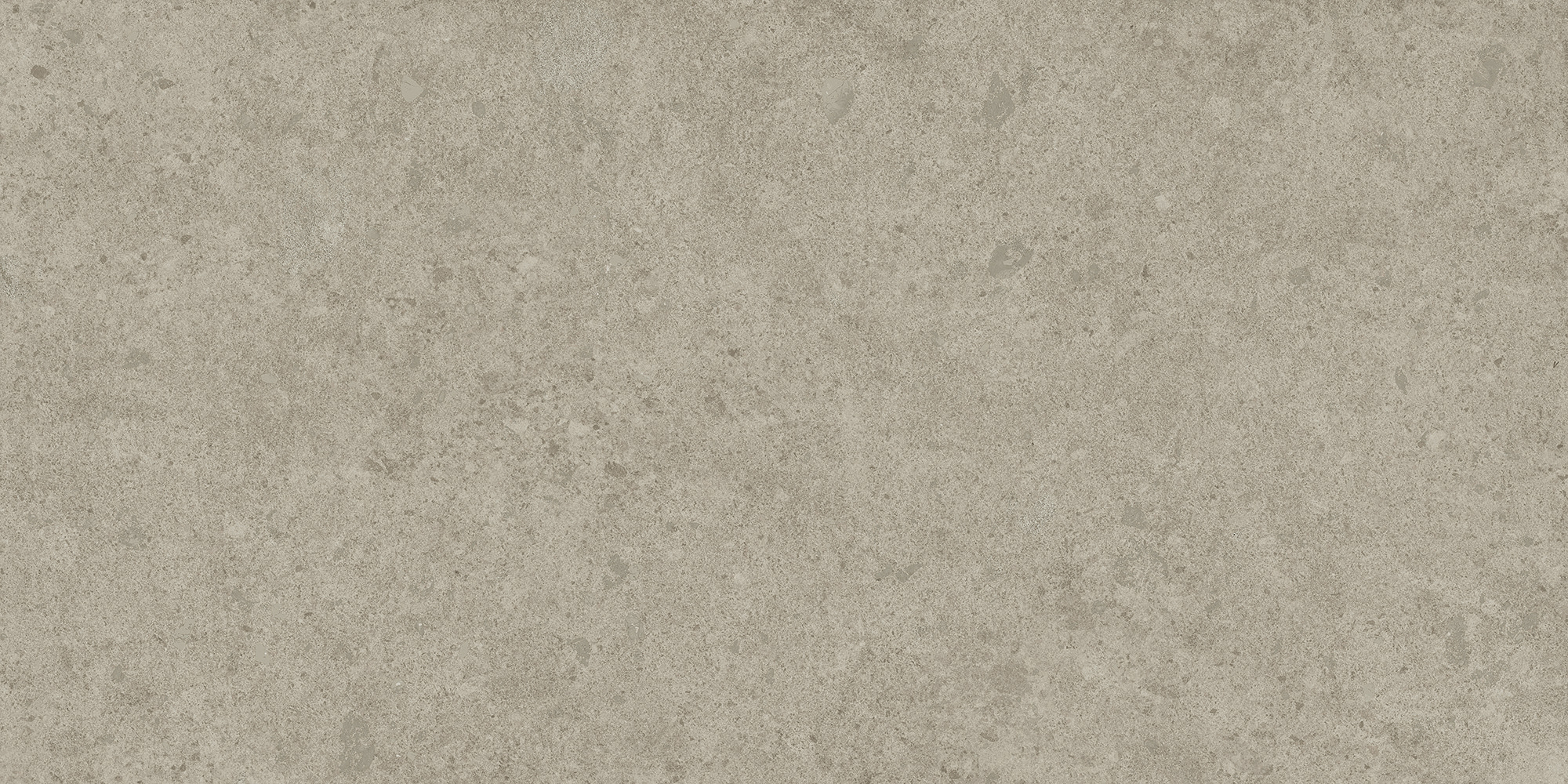 AtlasConcordeUSA_LegacyLimestone_Silver_12x24_Matte_Rectified AtlasConcordeUSA_LegacyLimestone_Silver_12x24_Matte_Rectified