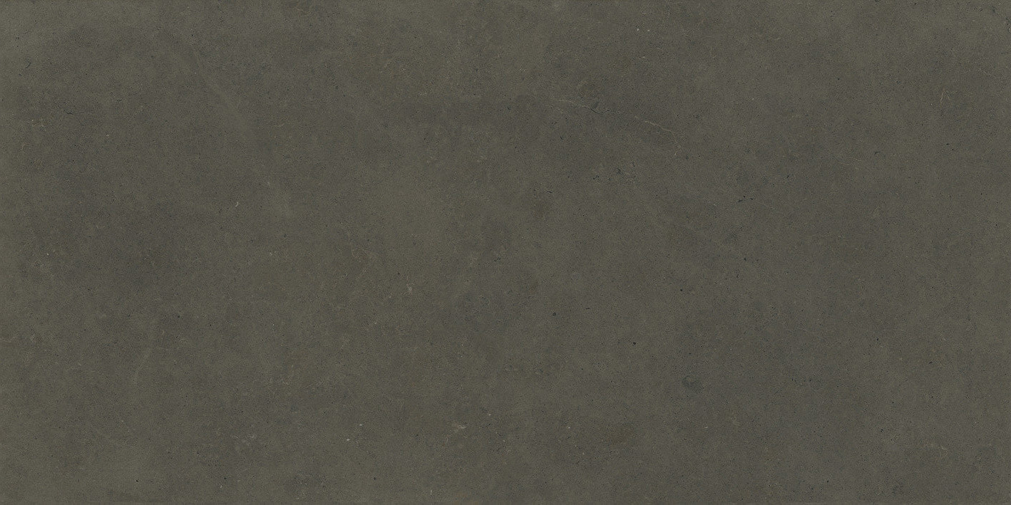 Stonepeak-Shellstone-Shellearth-12x24 Stonepeak-Shellstone-Shellearth-12x24