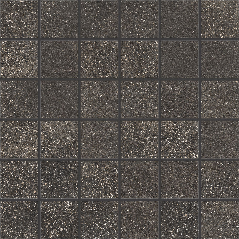 STP-Terrestrial-Black-2x2-Mosaic-Matte.jpg