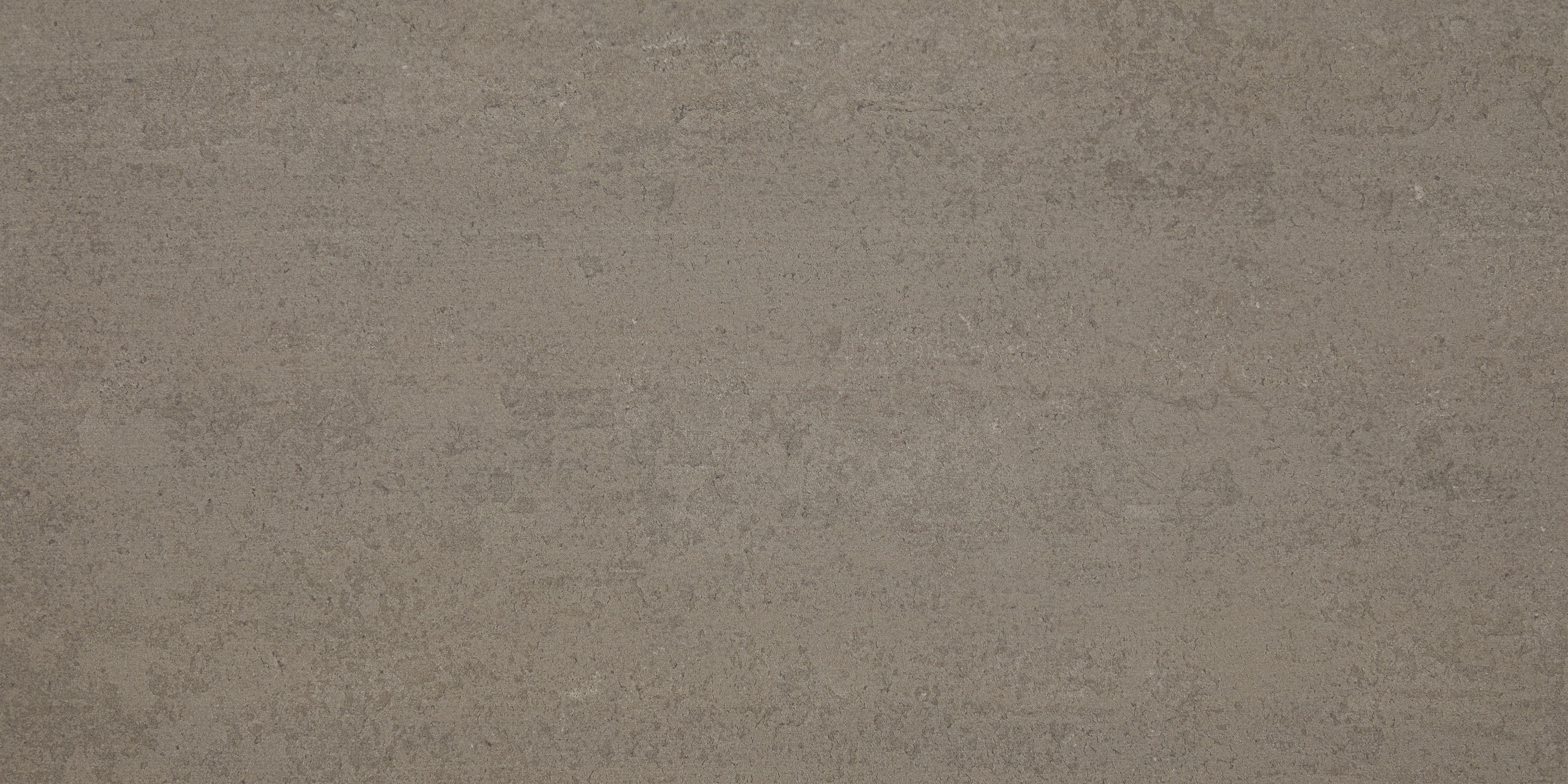 AO_TheorecticalEvolved_HibernateBrown_24x48_Matte-Rectified
