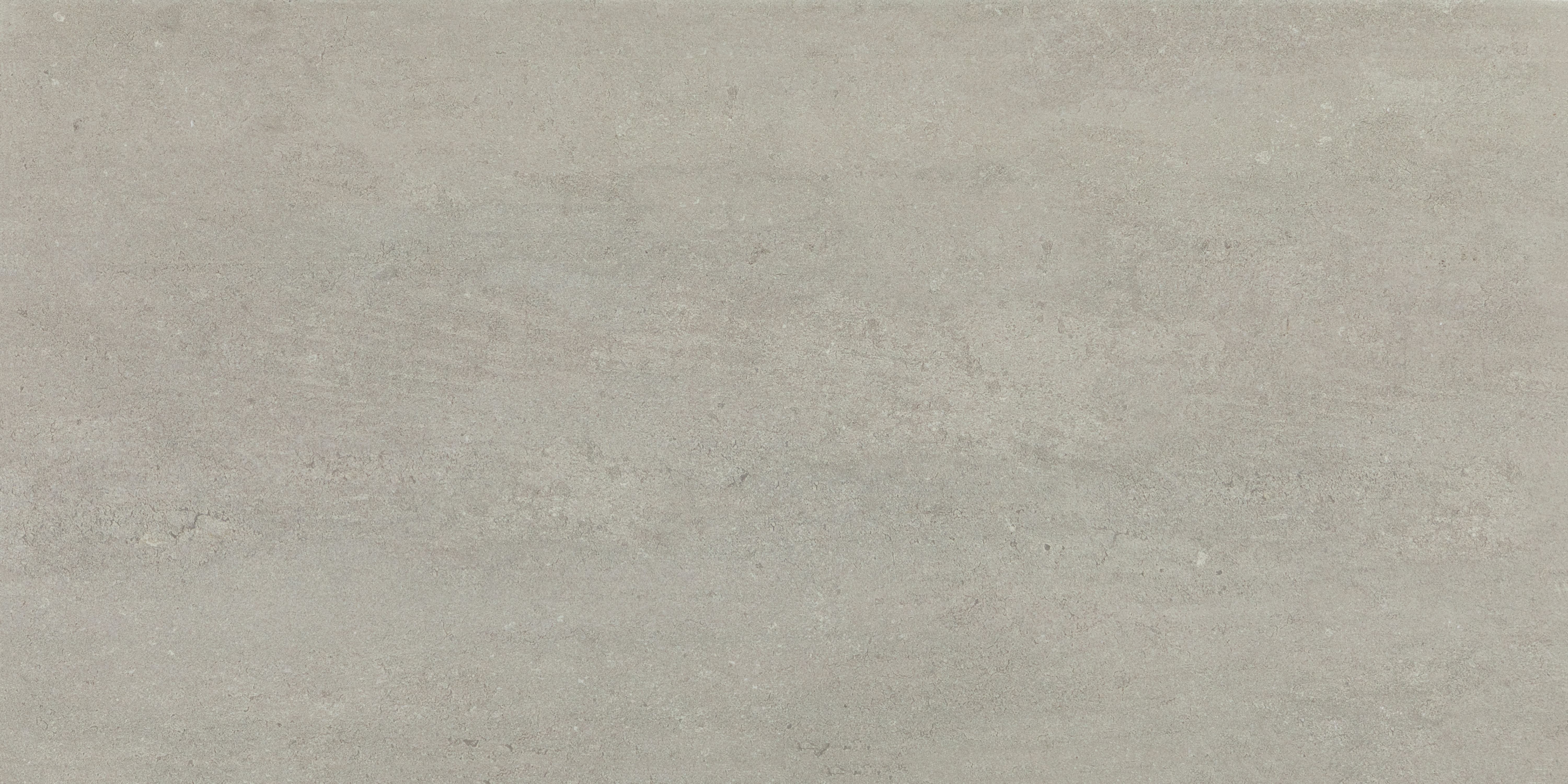 AO_TheorecticalEvolved_QuietGray_24x48_Matte-Rectified