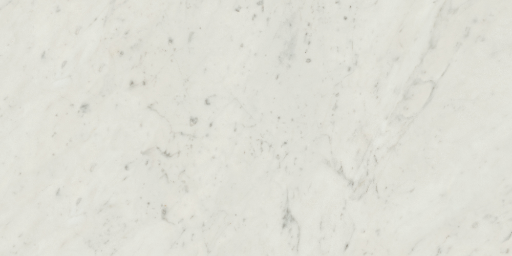 Specialty Tile Products Marmol Carrara