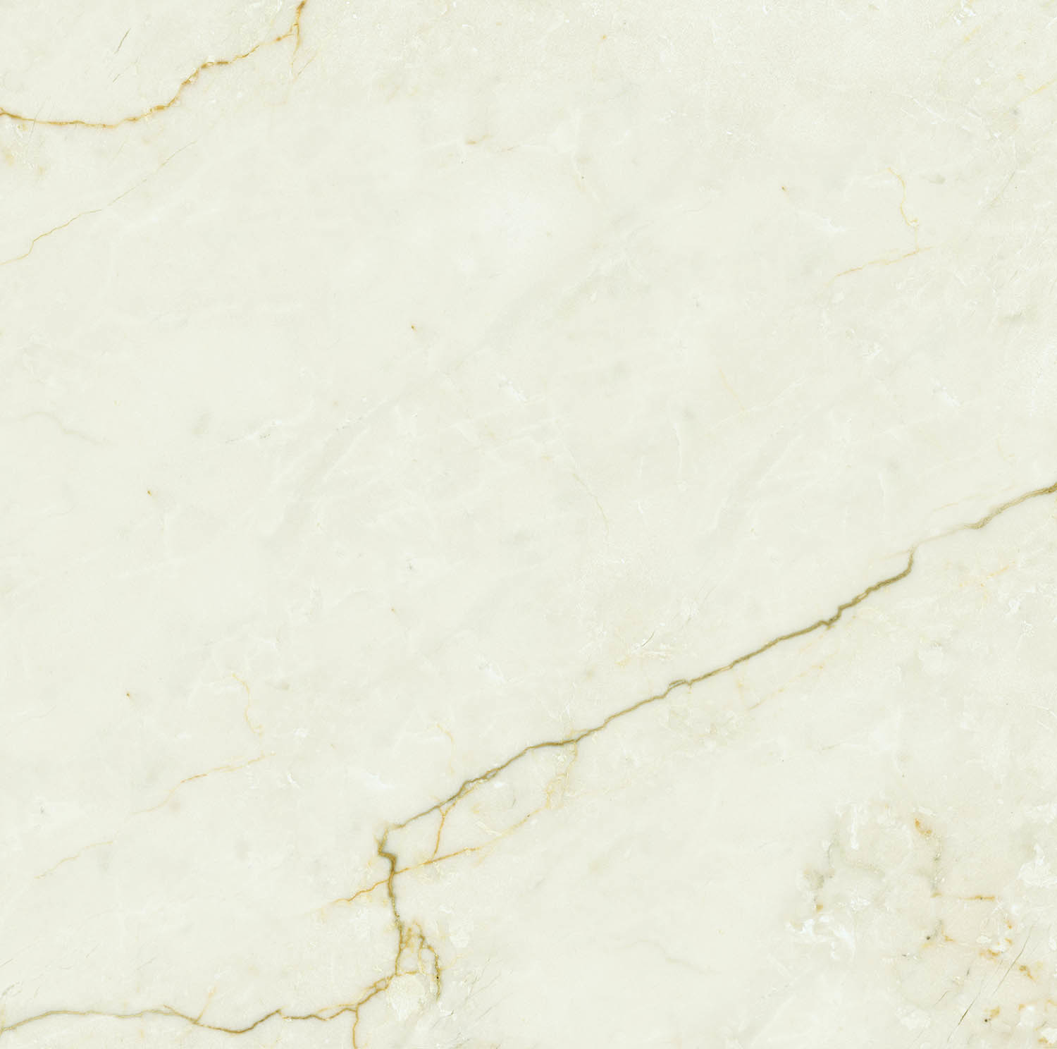 Rarity 2.0 Ivory Cream Rarity 2.0 Ivory Cream