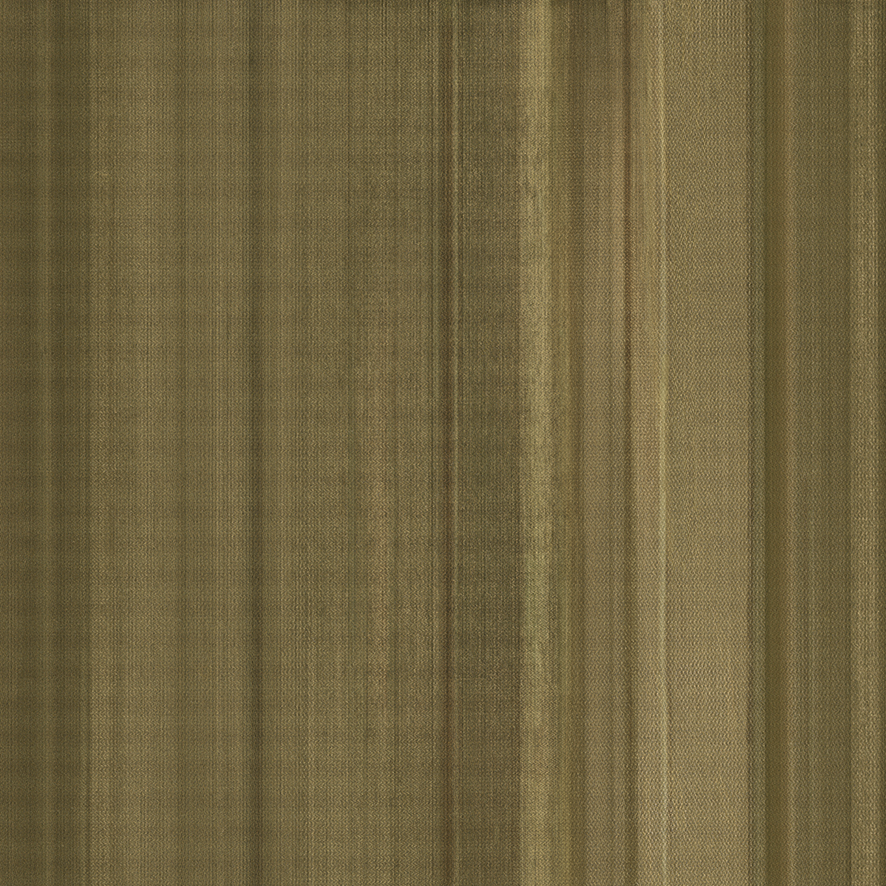 STP Rarity Oro Stripes STP Rarity Oro Stripes