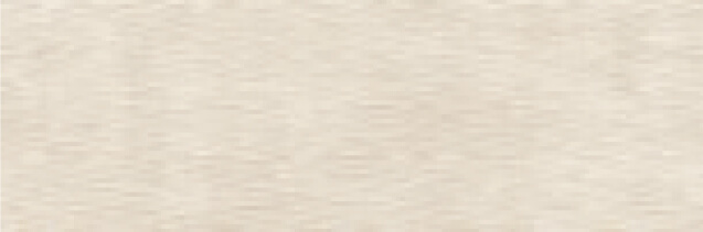 Ragno_Resina_Ardesia_16x48_Matte Ragno_Resina_Ardesia_16x48_Matte