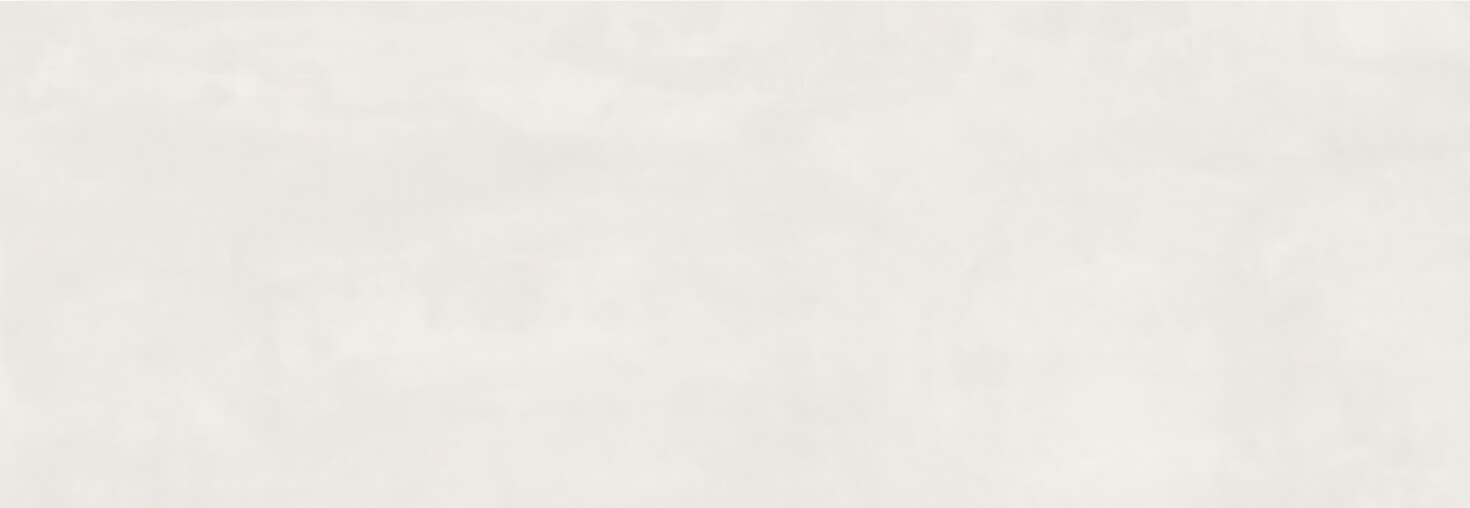 Ragno_Resina_Bianco_16x48_Matte Ragno_Resina_Bianco_16x48_Matte