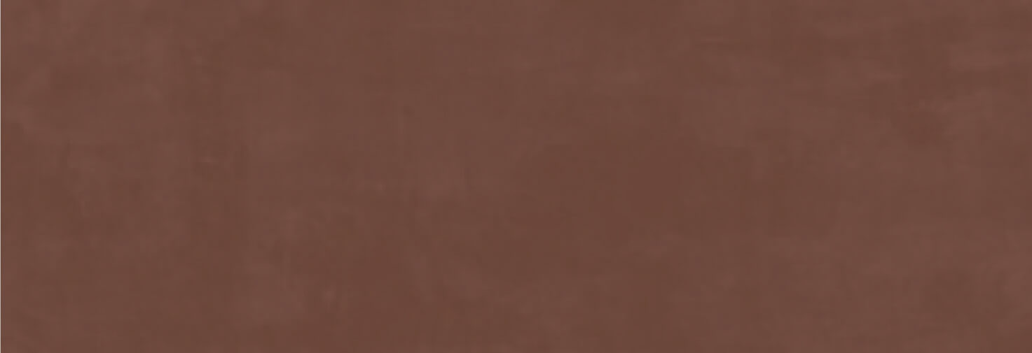 Ragno_Resina_Terracotta_16x48_Matte Ragno_Resina_Terracotta_16x48_Matte